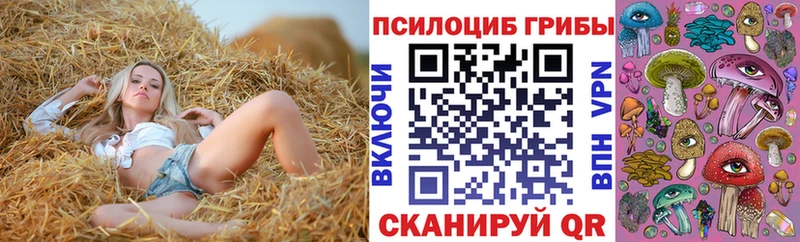 Галлюциногенные грибы Magic Shrooms  Торжок 