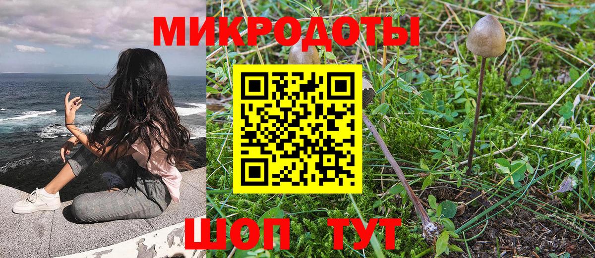 Псилоцибиновые грибы ЛСД Торжок