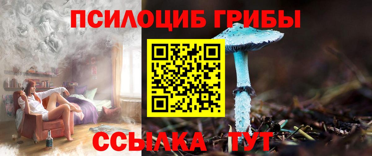 Псилоцибиновые грибы мицелий  Псилоцибиновые грибы мицелий  где продают   Торжок 