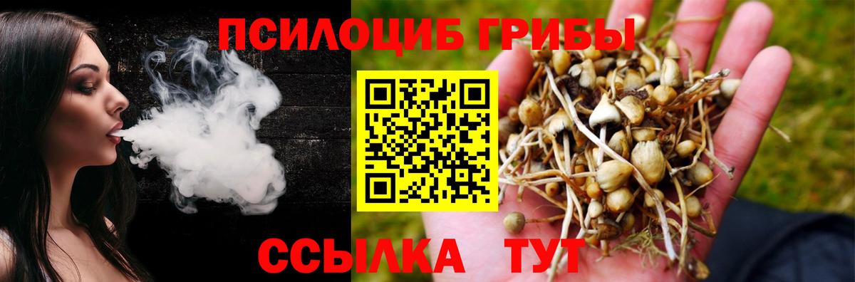 Галлюциногенные грибы ЛСД  Вход с VPN  Торжок  Псилоцибиновые грибы GOLDEN TEACHER 